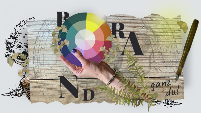 Deine Personal Branding Farbwelt