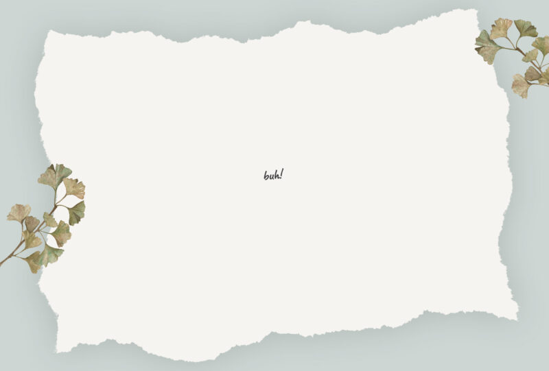 WHAT THE… Weißraum?